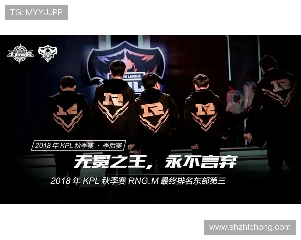 EDG战术解析：王者荣耀中的团队协作与战略布局探讨